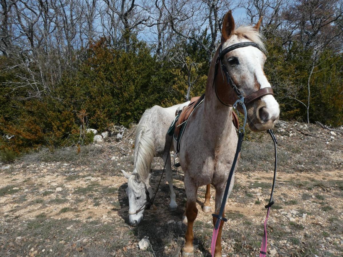 Le Jas Des Aiguiers Saint-Saturnin-d'Apt Exterior foto