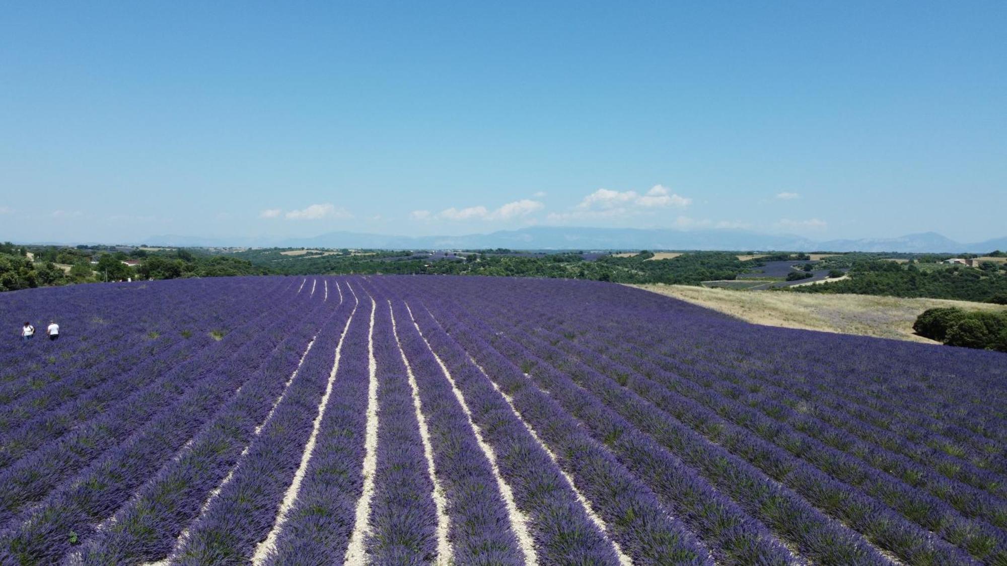 Le Jas Des Aiguiers Saint-Saturnin-d'Apt Exterior foto